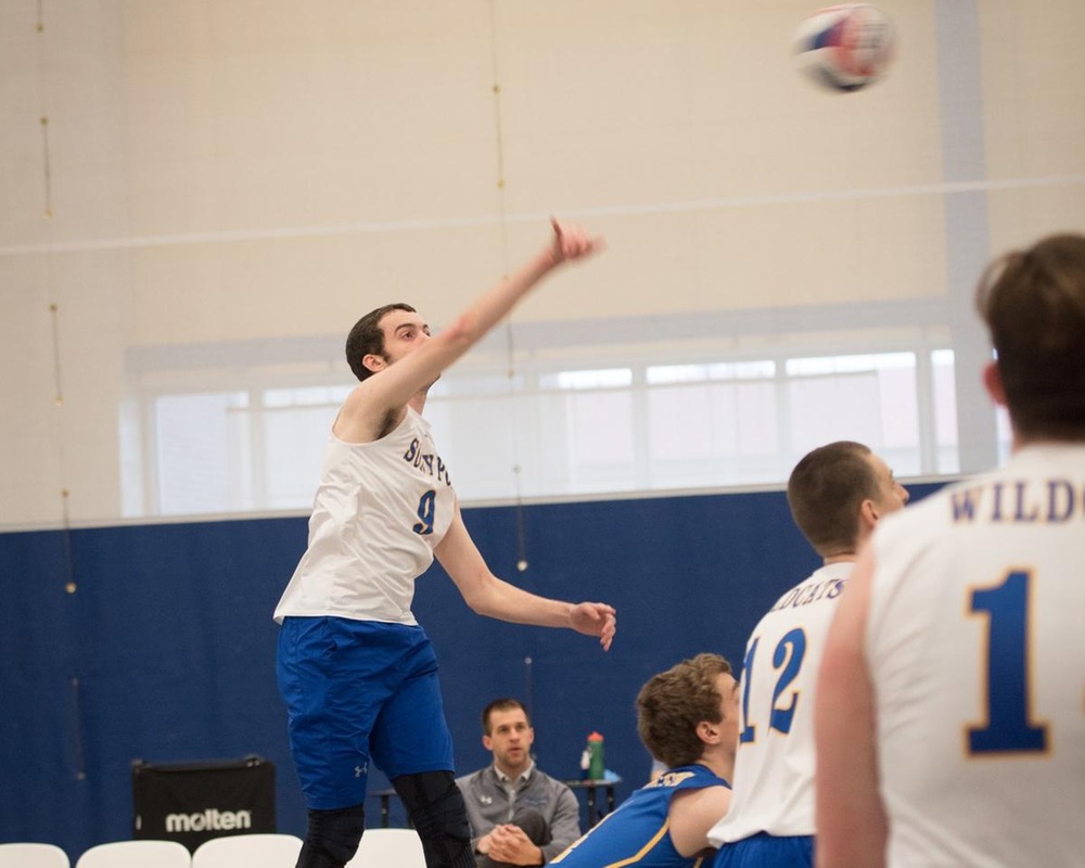 MVB: Wildcats Sweep Gators 3-0 to Pick Up Their Second Win of the Season.