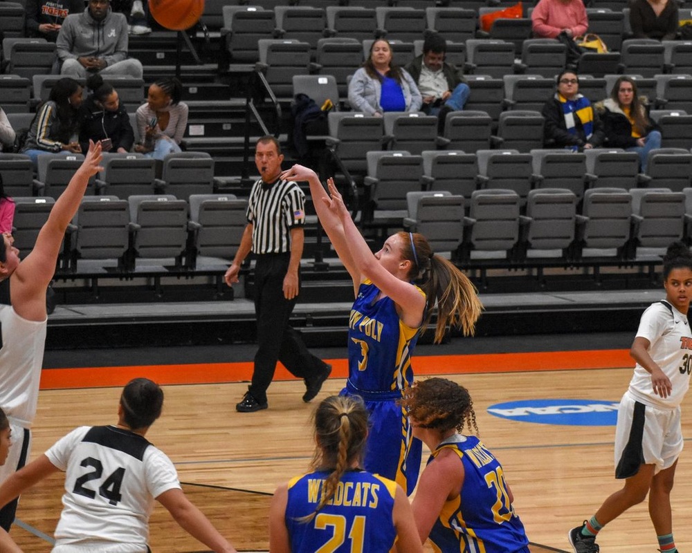 WBB: Wildcats Wrap Up 2018 With a Split at the Juniata College Holiday Classic.