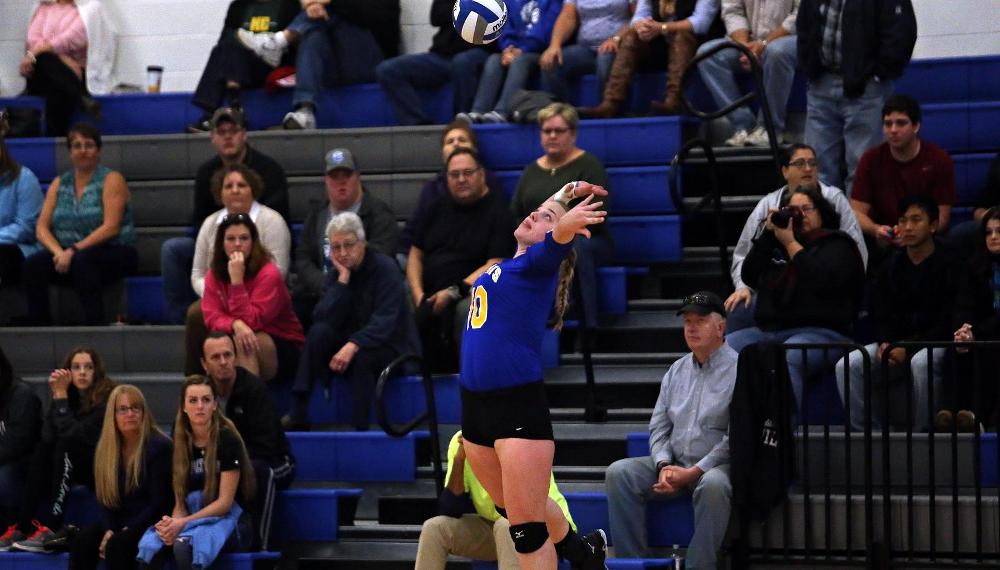 WVB: Wildcats Take Down Lancaster, Penn, and Berks to go 3-0 in NEAC Play.