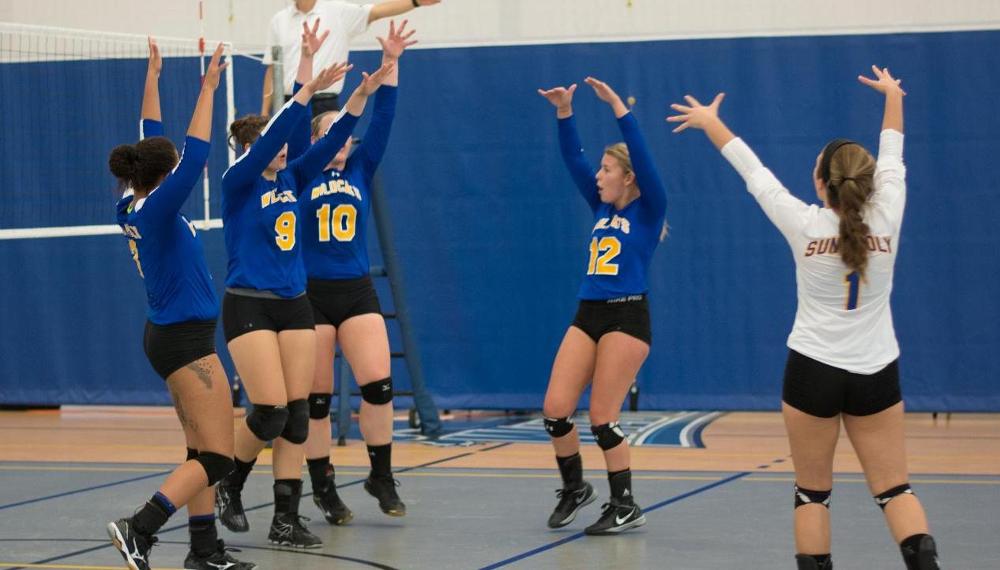 WVB: Wildcats Go 3-1 in First NEAC Crossover of the 2016 Season.
