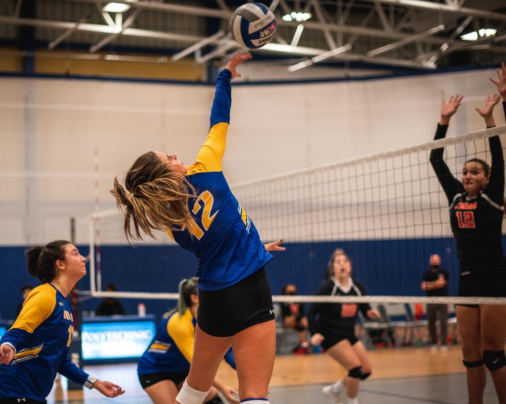 WVB: Wildcats Take Down Cobleskill in NAC Play 3-1. 