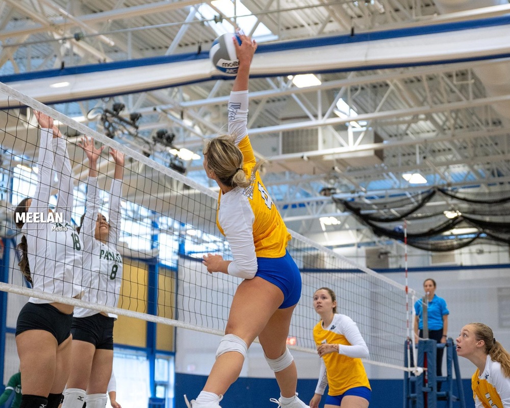 WVB: Wildcats Host SUNY Canton in First NAC Match of the Season.