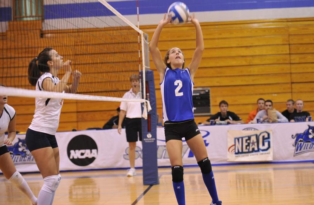Women's Volleyball Defeats Penn State Berks in NEAC Quarterfinals but Falls to Gallaudet in Semifinals