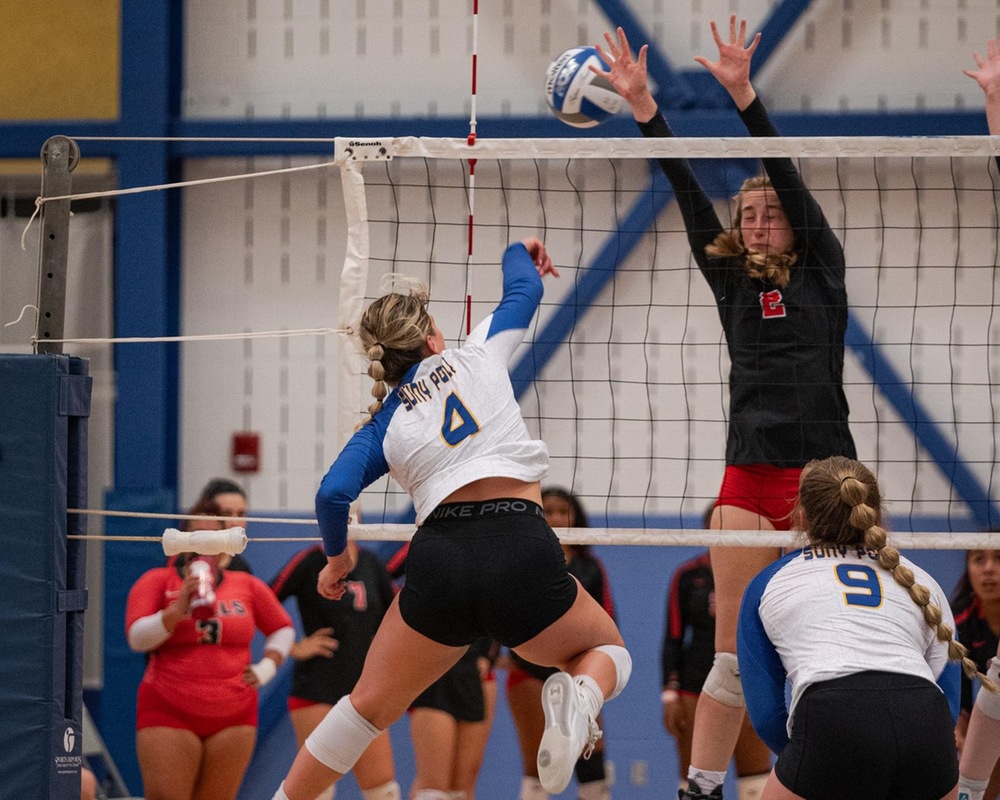 WVB: Wildcats Drop Road Match at Geneseo.